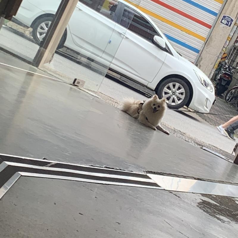 스레주 안녕 내가 작년 5월에 들어온 대외활동이 있는데 정말 말 많고 탈 많고 일도 많고 그러면서 정도 많이 들었어 최근에 내부에서 진행하던 일