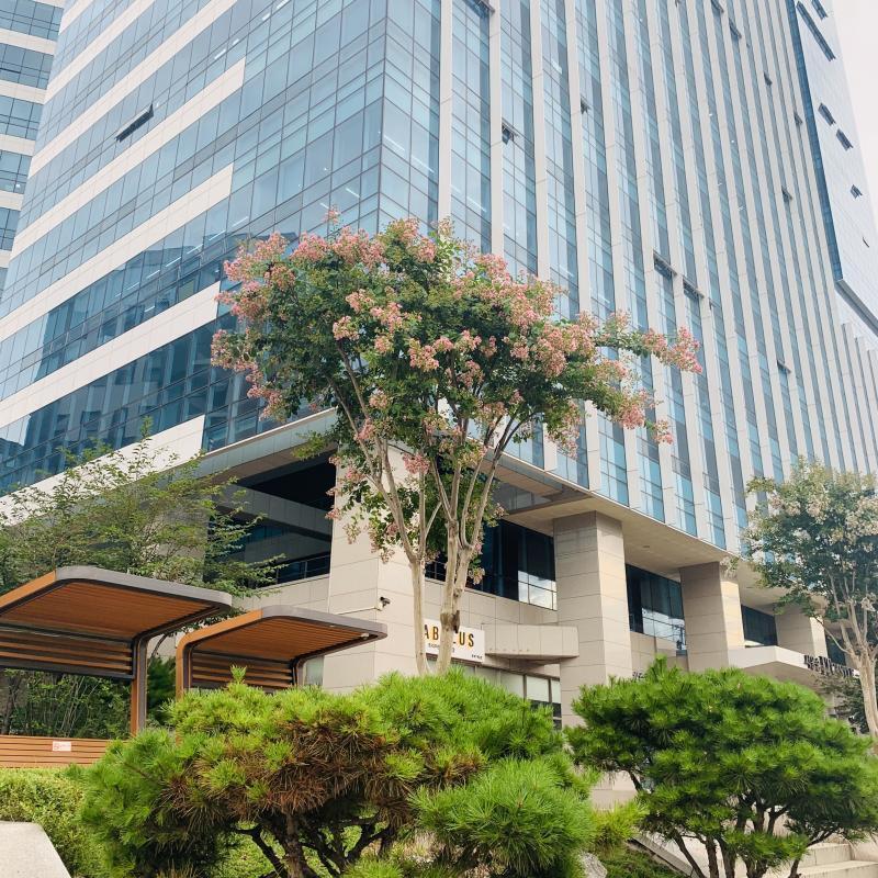 지나가다 찍은 나무 예쁜데 무슨 나무인진 모르겠다.. 내가 짝남이랑 얼마 전에 밥을 먹었어 내가 평소에 먹고 싶다고 한 건데 웬일로 자기가 먹으