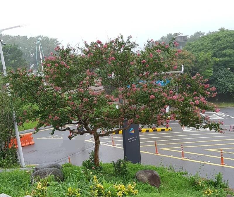 안녕! >>121 남겼던 사람인데 질문 남기고 갈게. 안되면 얘기해줘! >>121에서 말한 친구 두명(편의상 a, b)이랑 어색해. 다른 친구 
