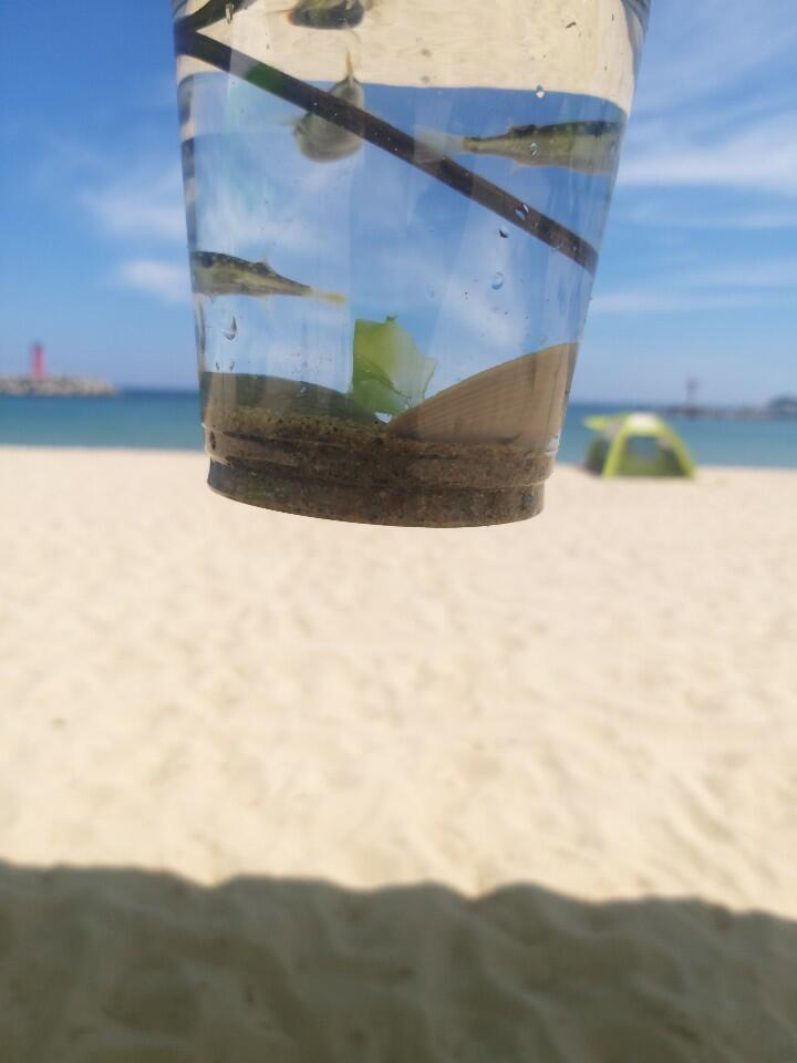 내남친은 복어잡아서 보여줬거든 엄청귀엽지 180짜리가 동생이랑 놀아주면서 저거 잡고 컵 꾸미고 보여주려고 사진찍은거 생각하면 미치도록귀여움