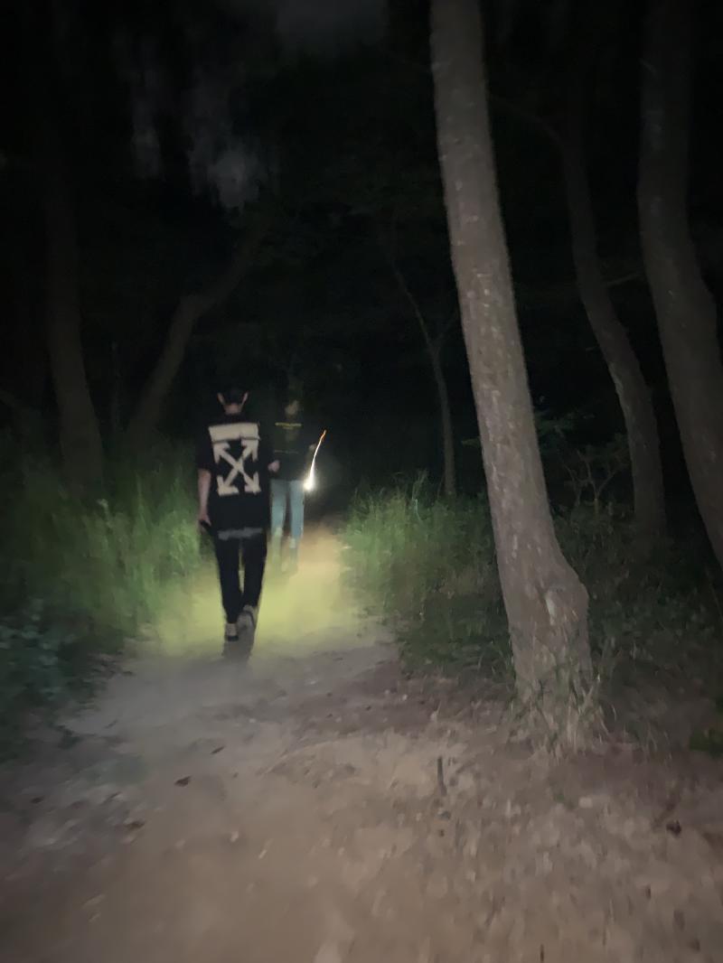 >>6 앞도안보여