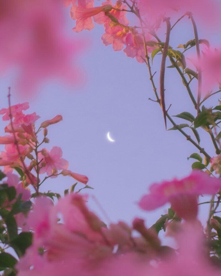 서교동의 밤-Walking in the Moonlight https://m.youtube.com/watch?v=8uuWkeZ3mAI 서교동의 밤