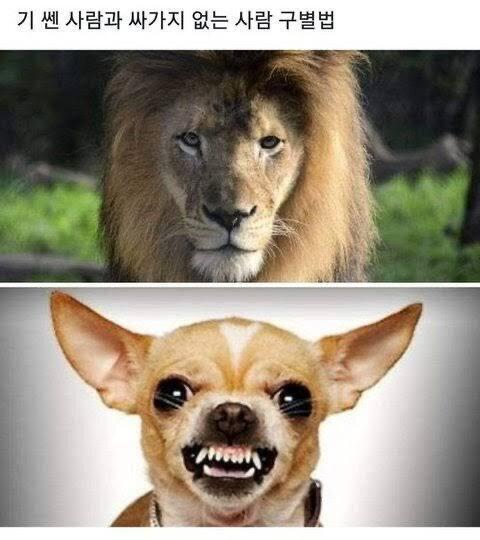 이런건가 ㅋㅋㅋㅋ