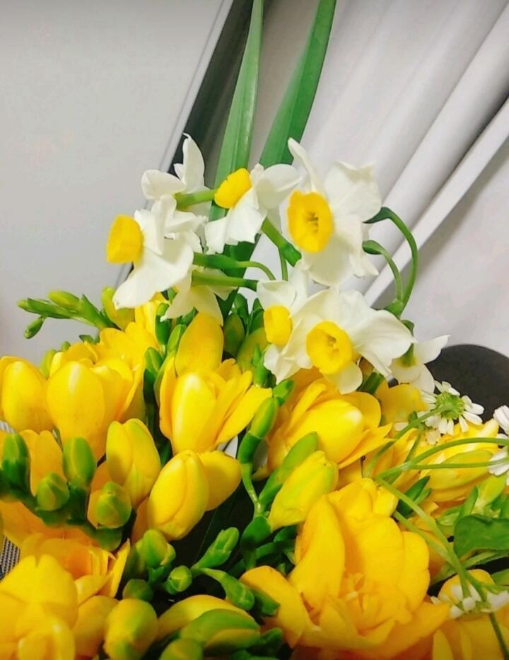 안녕 스레주! 나 >>181 답변받은 레스주야 스레주말대로 지금 정확한방법도 모르고 주워들은거로만 하고있는상황이라 뜨끔했어 ㅋㅋ 그래서 타로결과