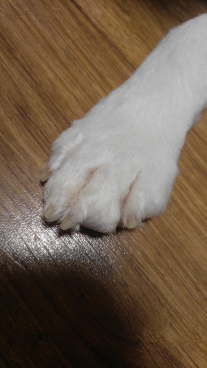 어때