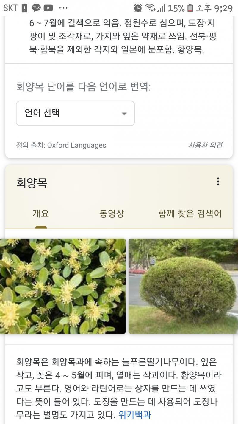 이거 아냐?