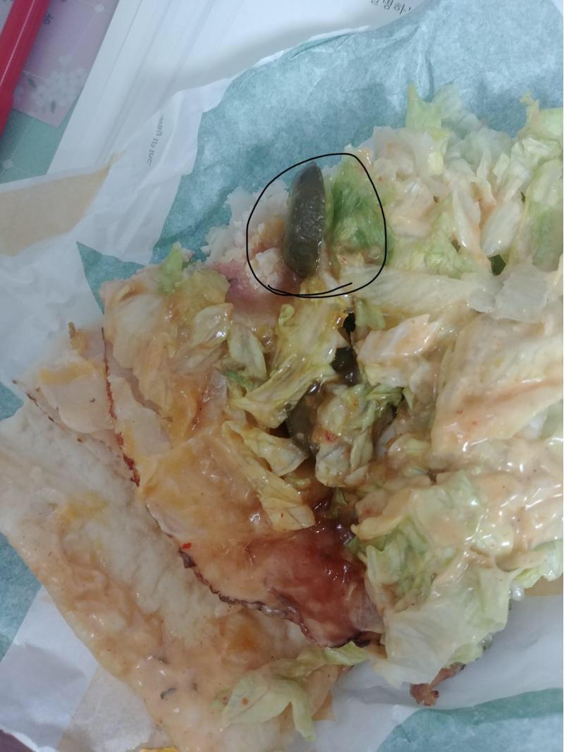 동그라미 친 거 이거 피클이야?? 뭉개지면 아보카도 맞는데 만약 그런거면 넣기는 했네... 근데 진짜 쪼금 넣었나 이거 말고는 아보카도같아 보이