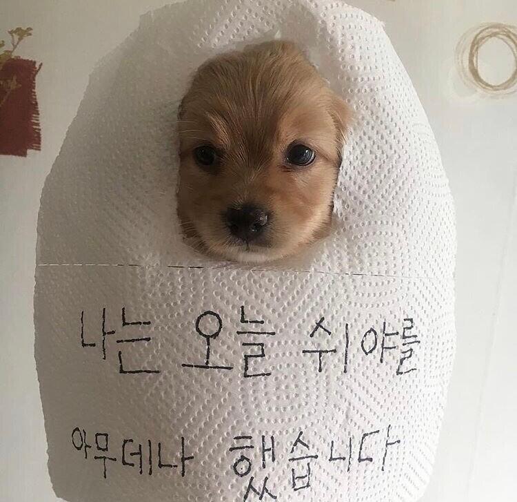 아..아무도..레스를..안단다..내가 말한반응이랑 다들 비슷할거라고 생각하나봐..