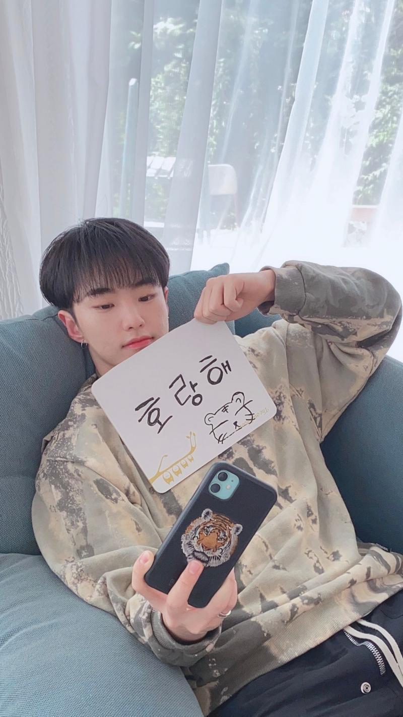 세븐틴 호시... 말랑하게 생김 ㄹㅇ 그리고 맨날 TMI 남발하고 다니는게 매력임 호랑이 과몰입하는데 햄스터가 호랑이 흉내내는것같아서 귀여움