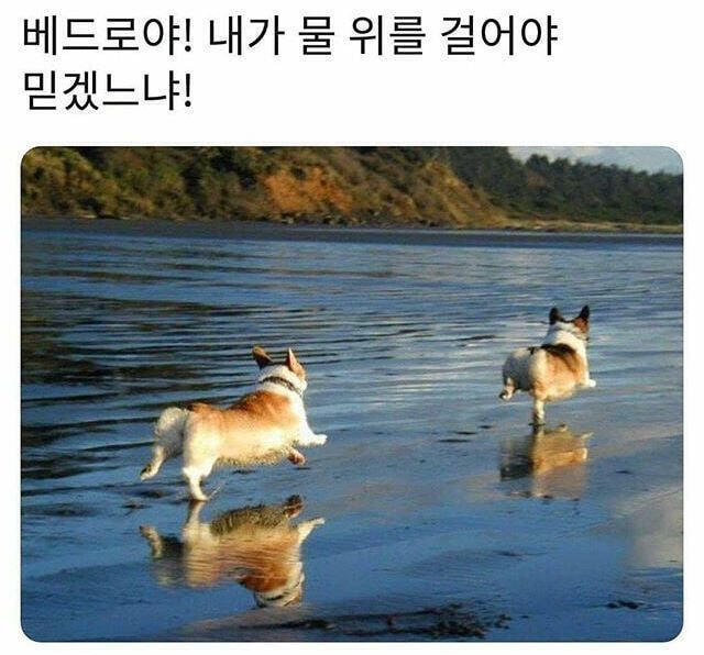 베드로 시리즈가 넘쳐난드아
