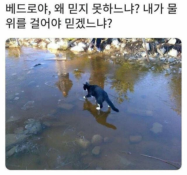 베드로 시리즈가 넘쳐난드아