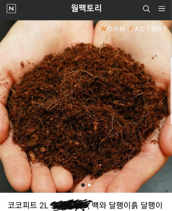 바닥재 🌿 바닥재는 사람마다 쓰는게 조금씩 다른데 대략적으로 쓰는건 아스펜베딩,코코피트,코코넛바크 이정돈데 이중에서 제일 적합한건 코코피트야 디