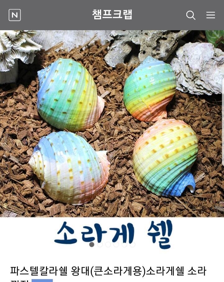쉘 소라게는 게가 소라껍질 안에서 살고있는건 다들알지? 그렇기에 소라게는 쉘(소라껍질)을 마음에 안들때마다 다른 쉘로 교체하기도해 탈피하고 크기