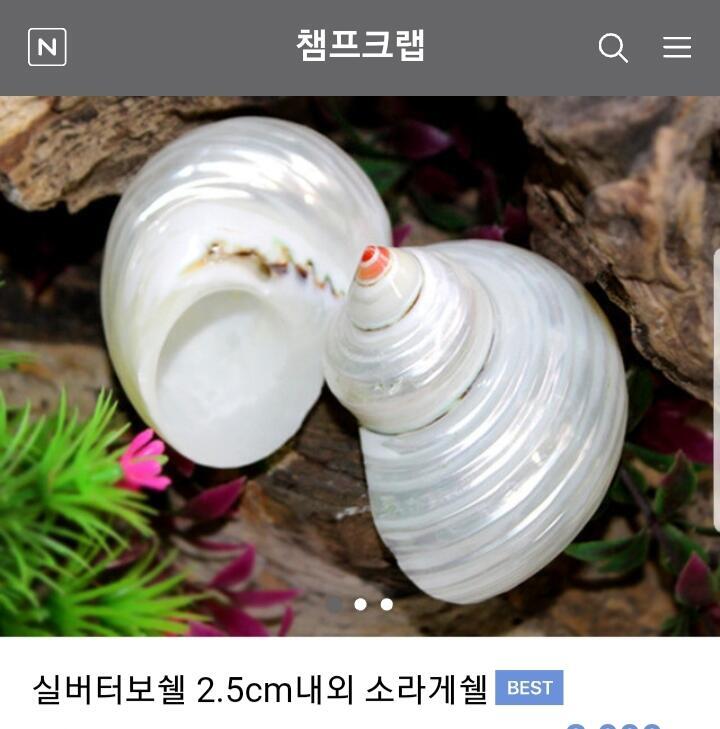 쉘 소라게는 게가 소라껍질 안에서 살고있는건 다들알지? 그렇기에 소라게는 쉘(소라껍질)을 마음에 안들때마다 다른 쉘로 교체하기도해 탈피하고 크기