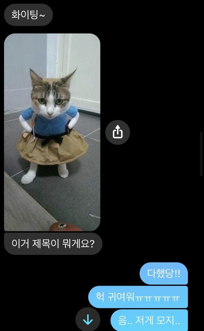 이거는 사귀기 전에 한 페메 내용 중 일부인데 진짜 뜬금없어서 빵 터졌어ㄴㅋㅋㅋㅋ 귀엽기도 하고.. 저렇게 막 짤도 보내고 양아치 같았던 h의
