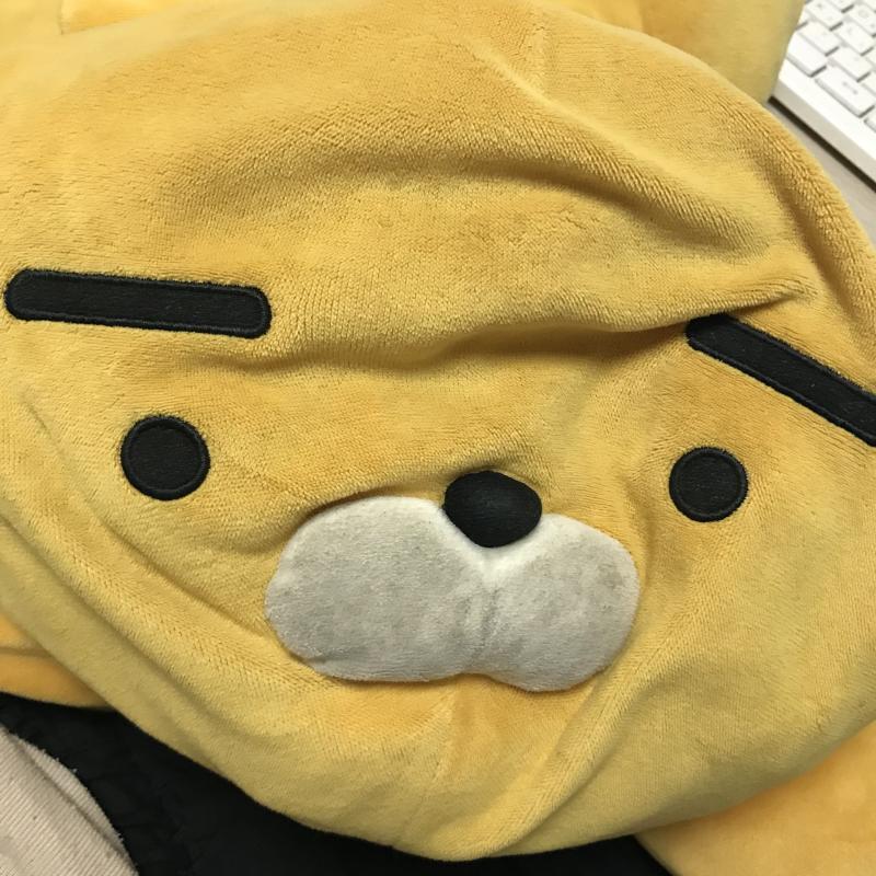 이 인형은 어때?? 내가 맨날 껴안고 자서 많이 꼬질꼬질해졌어..