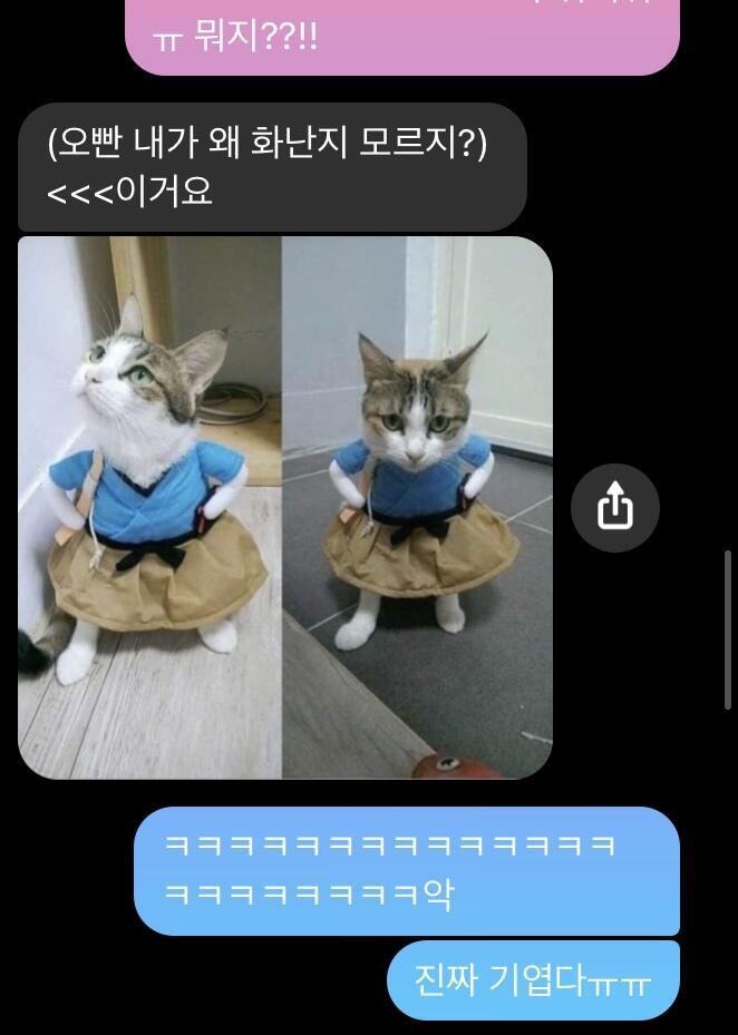 이거는 사귀기 전에 한 페메 내용 중 일부인데 진짜 뜬금없어서 빵 터졌어ㄴㅋㅋㅋㅋ 귀엽기도 하고.. 저렇게 막 짤도 보내고 양아치 같았던 h의