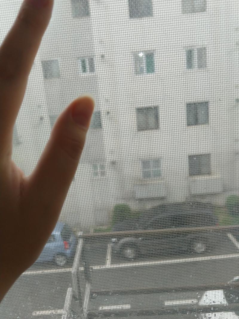 비가와 오늘 아침은 남은 무국과 볶음김치 점심은 베이컨파이브치즈 피자 먹었어 처음 먹었는데 맛있는 편이였어
