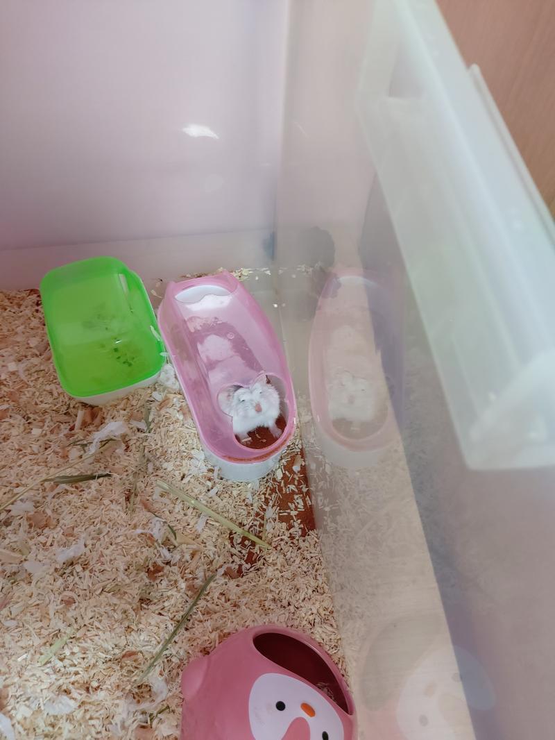 자는거 깨워서 부으심