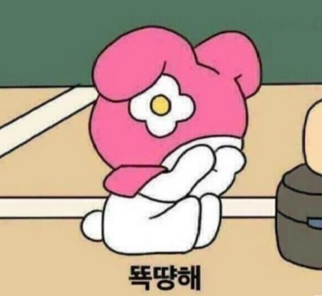 2020년 9월 1일 [심야 도전 골든벨] 실패 ㅠㅠㅠㅠ 풀리지 않은 심야 도전 골든벨의 답은 알려드리지 않겠습니다! 심심하시때 푸실 수 있게요