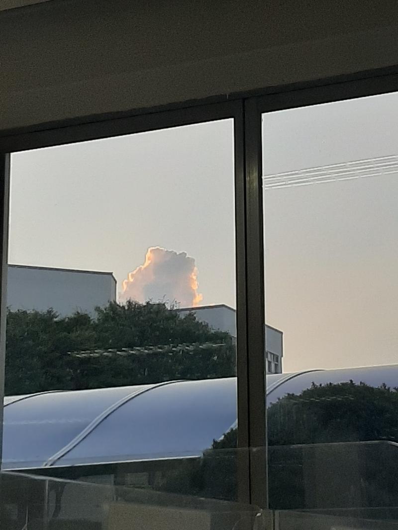 야옹