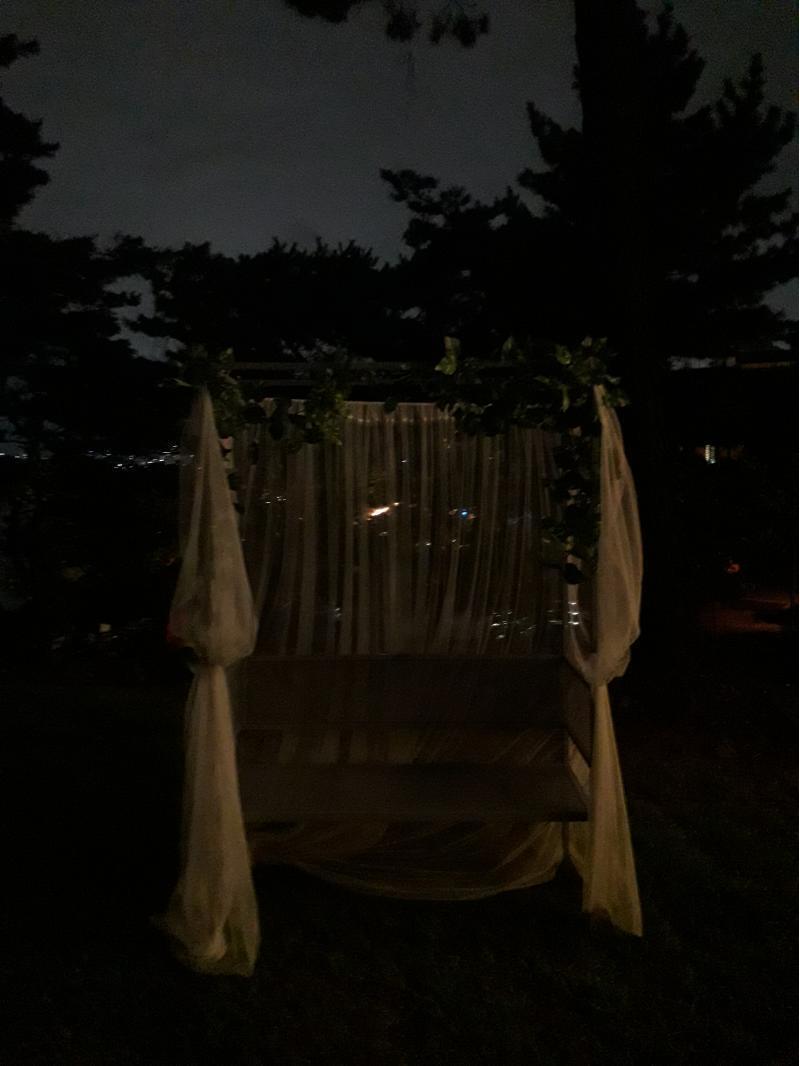 전에 카페 갔을 때 마당에서 찍었던 건데 분위기가 으스스해서!!! 혹시 뭐 있진 않지?