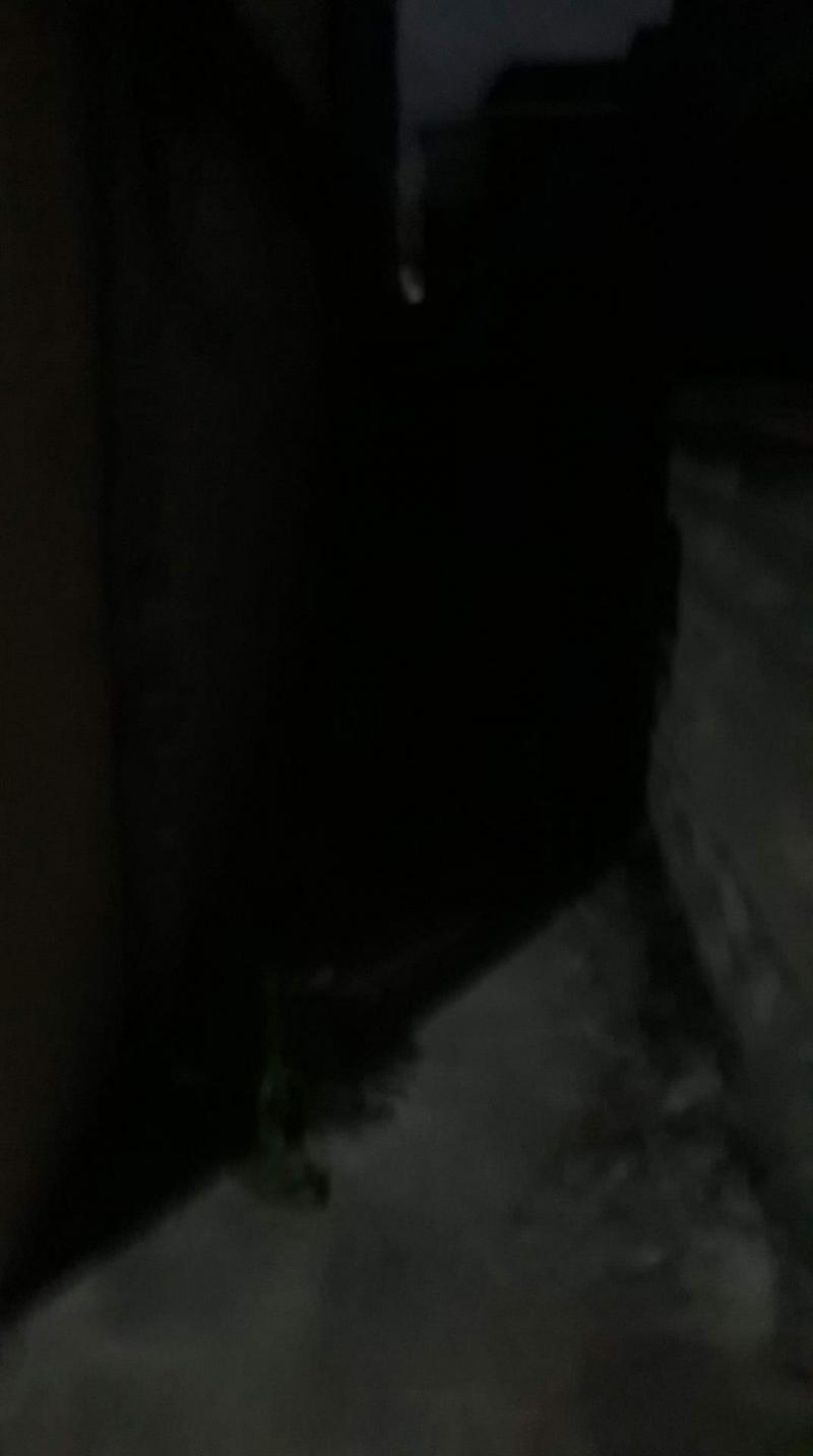 레주야 혹시 사진에 잘 안보일텐데 여기도 귀신 있오?