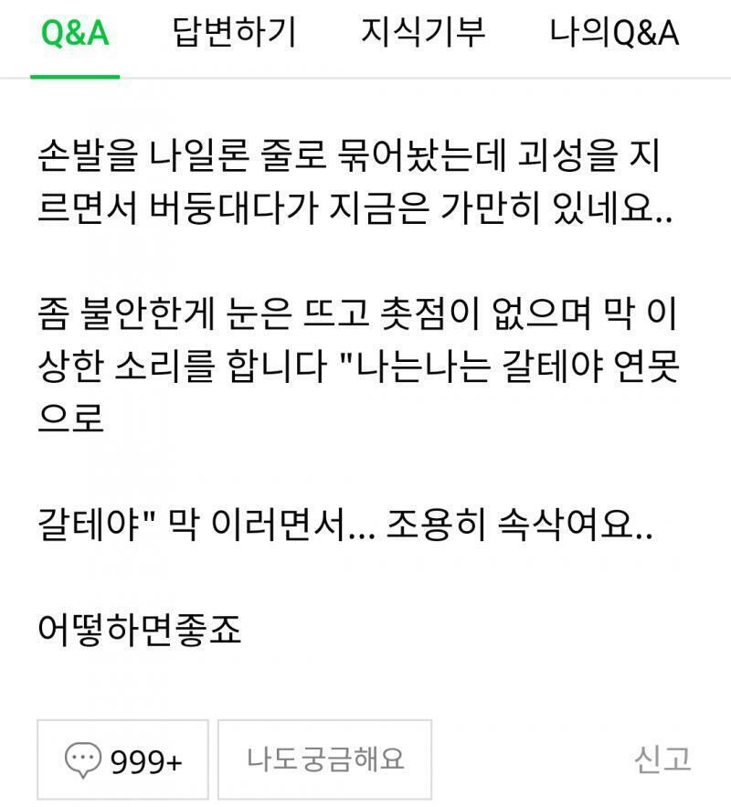♥♥♥♥♥♥♥♥♥♥♥♥♥♥♥♥♥♥♥♥♥♥♥♥♥♥♥♥난 스레주는 아니지만♥♥♥♥♥♥♥♥♥♥♥♥♥♥♥♥♥♥♥♥♥♥♥♥♥♥♥♥