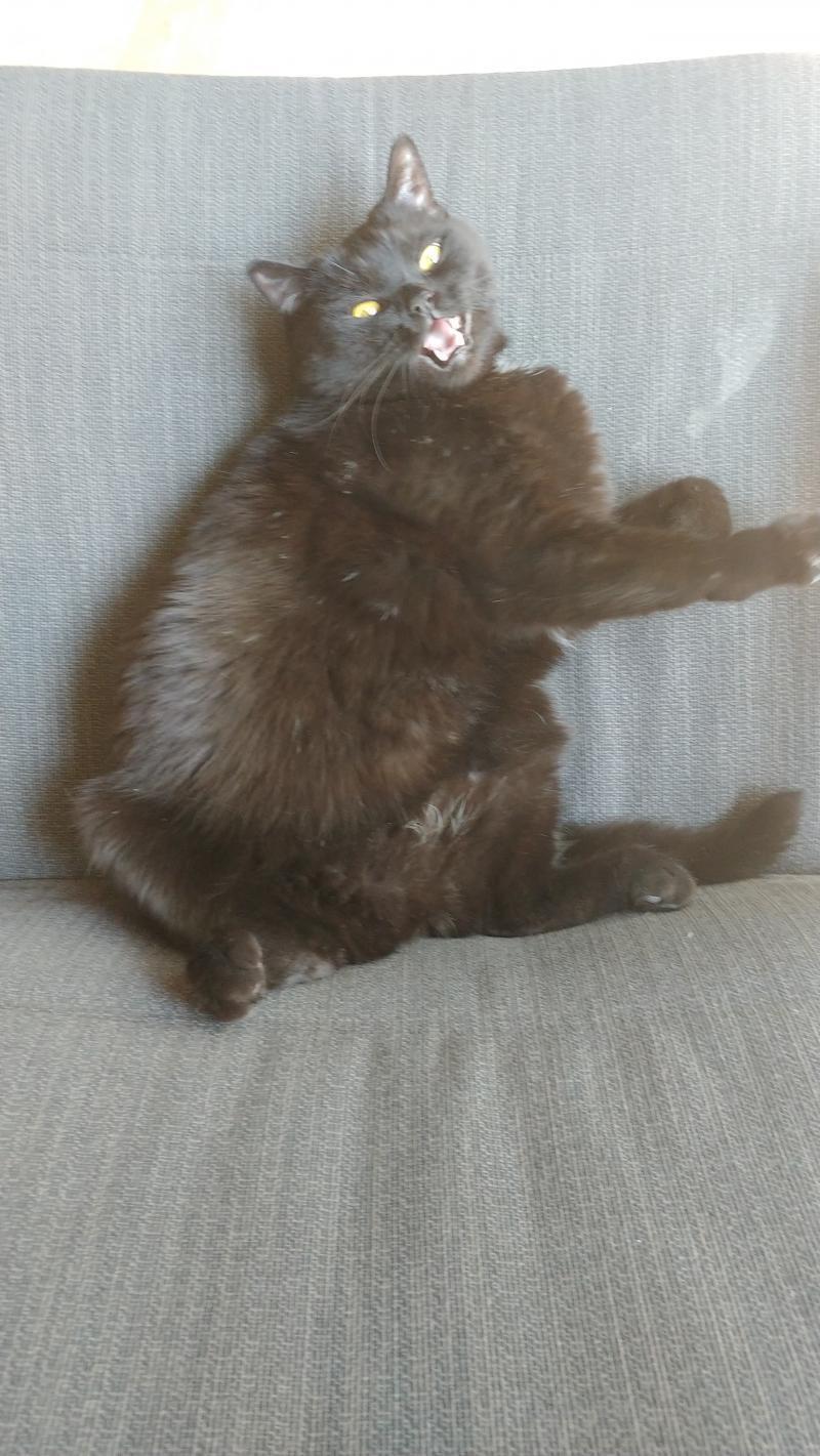 나부터 간다 얍