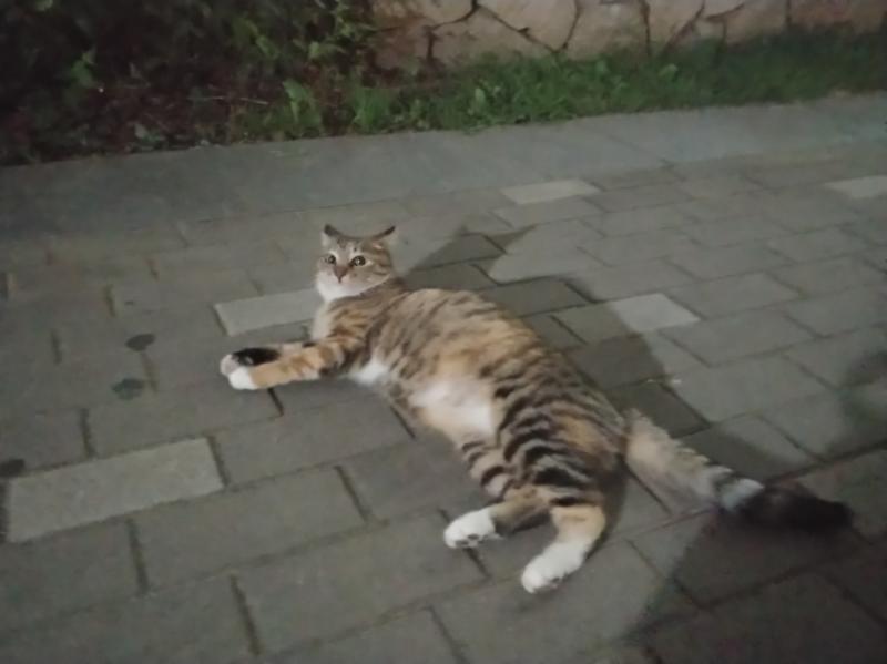 나부터 간다 얍