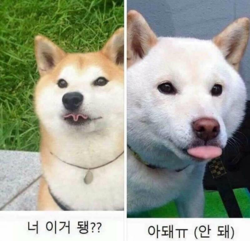 ㅎㅎ히힣