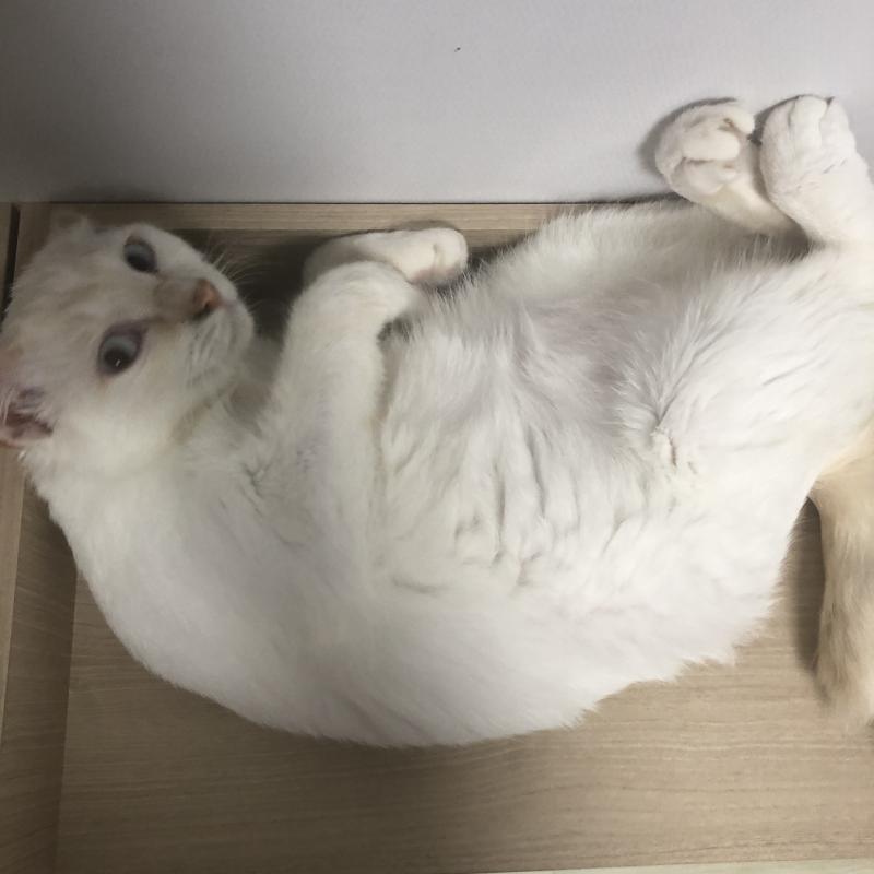 히히 귀엽징