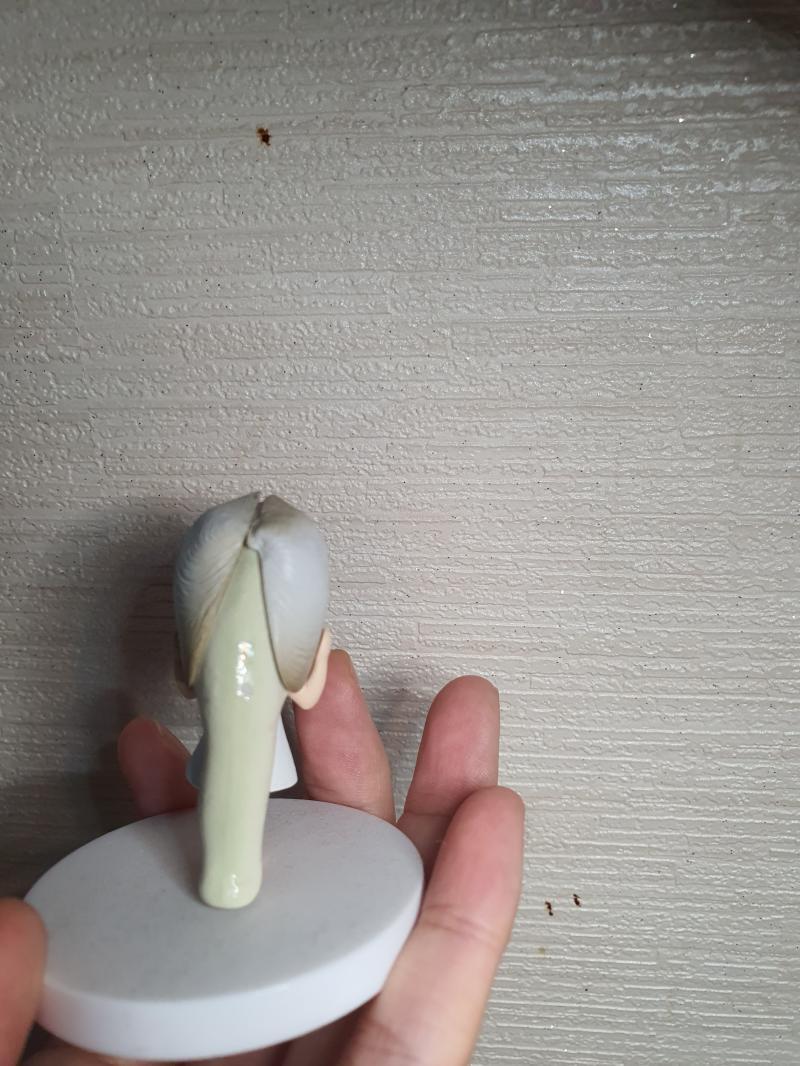 이건 내꺼 아니고 친오빠꺼 잠시 새벼온건데 뭔가 귀여우면서 이상함 ㅋㅋㅋㅋ 이름이 바지락 소녀 였던가 아마 바지럭이었던 걸로 기억