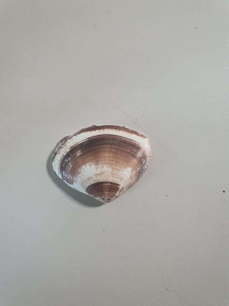 엇 이녀석 까먹음