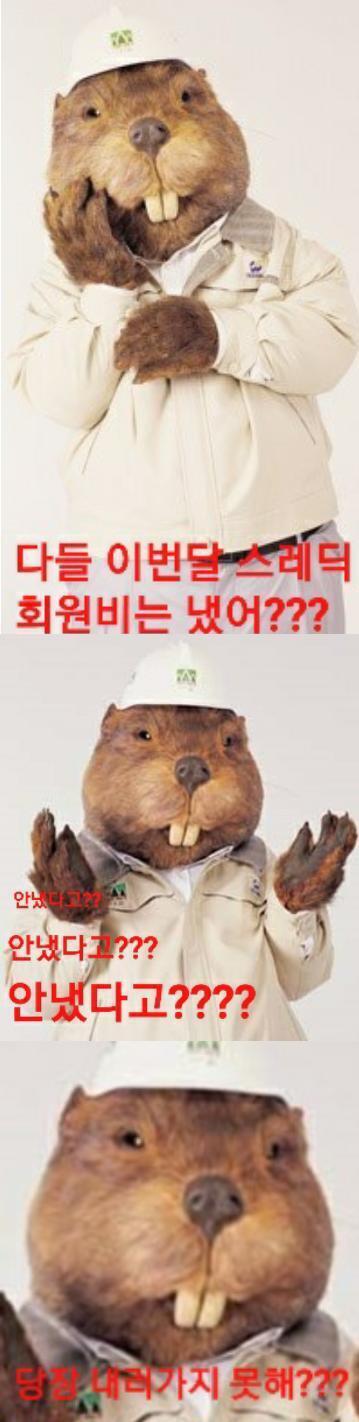 비빕 비빕 비비빕