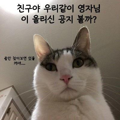누가 스레딕 처음이다 어떻게 쓰는 거야 할때 영자님 공지버전/ 뉴비들을 위한 검색 버전