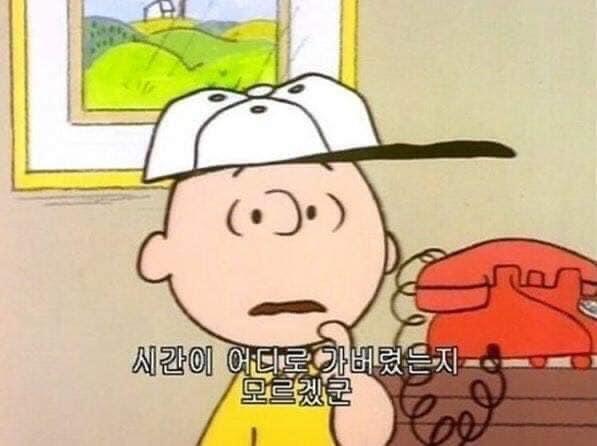 9모 D-6......