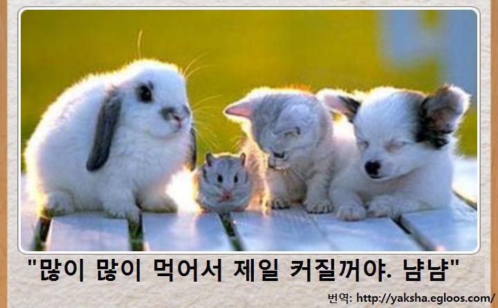 밥도 마니 머거야지
