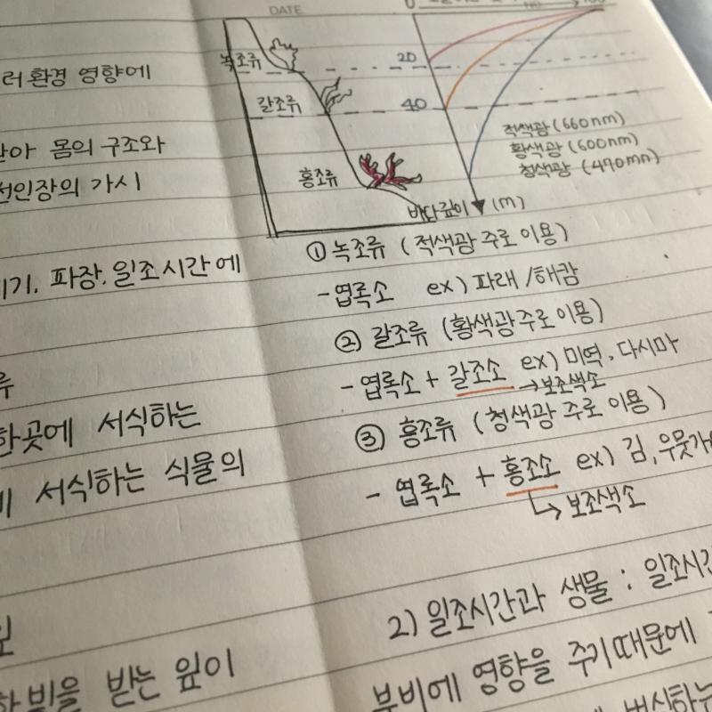 ㅇㅣ제 드디어 자러 갑니ㄷr... ε=(ノ゚ー゚)ノ 오늘 기상은 7시 58분으로 목표 기상시간 보다는 늦게 일어났어ㅠㅠ 오늘 인강 듣고 과학 공
