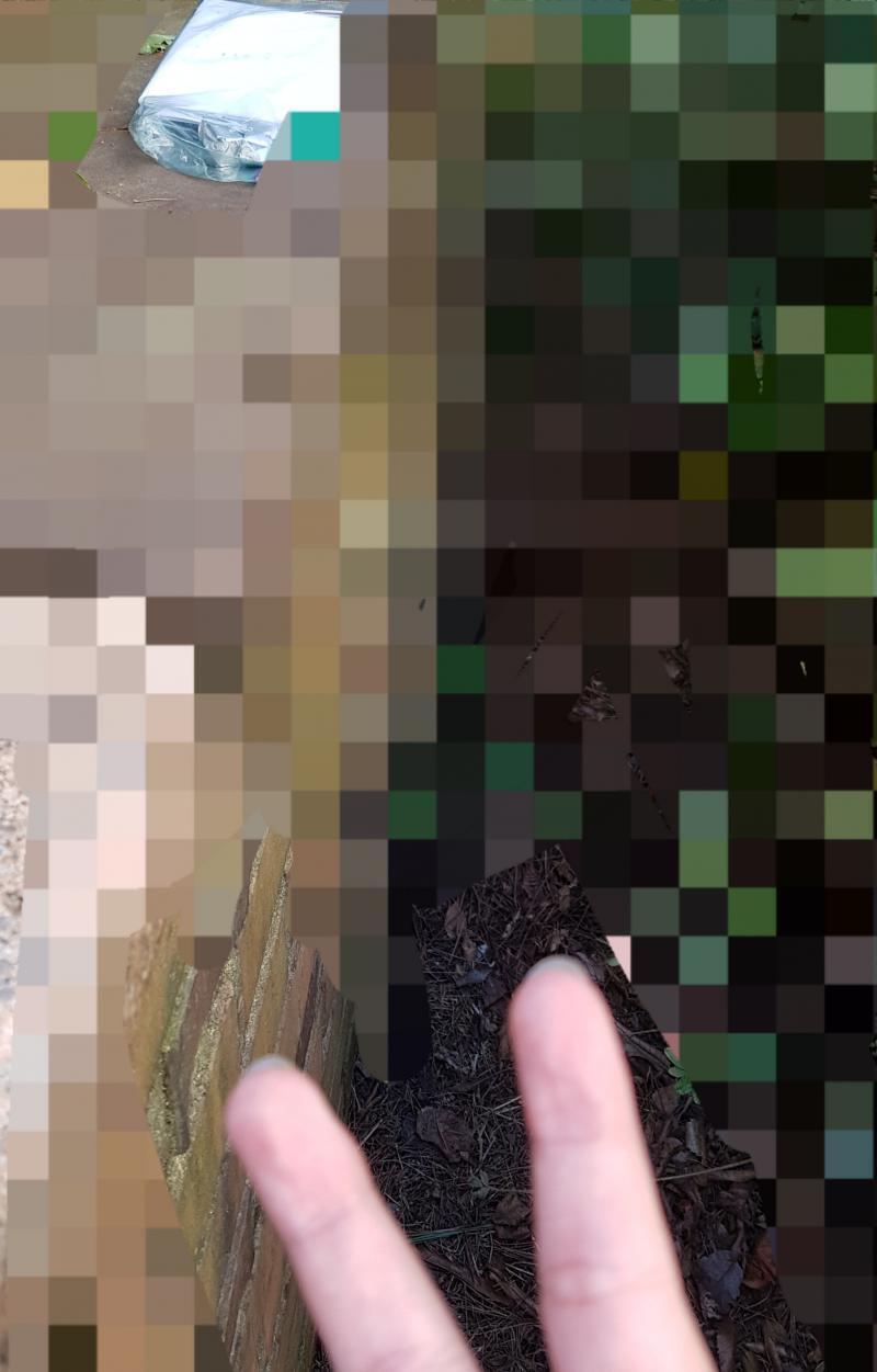 비버편지2 썪쎄쓰! 비버편지 1회차부터 있던 레더들은 이곳이 어딘지 알꺼야..바로 비버편지3가 있었던 장소! 그냥 귀찮아서 거기다 뒀엏ㅎ