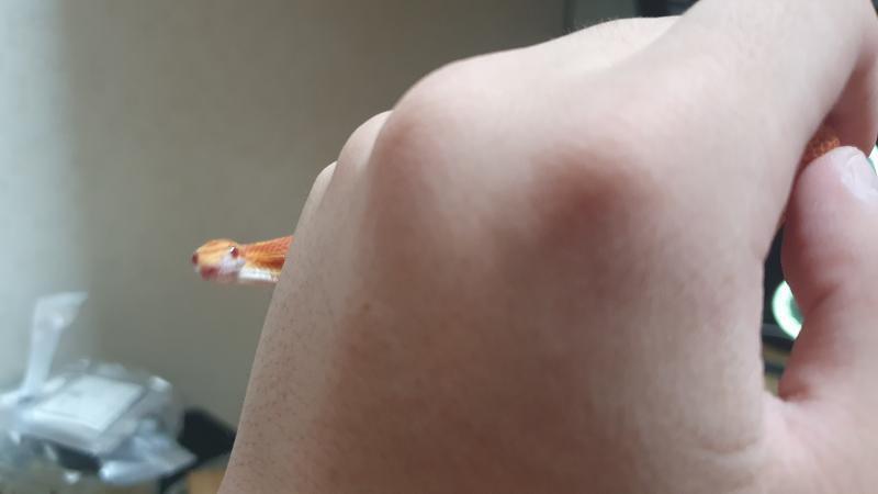 그러나 깜짝