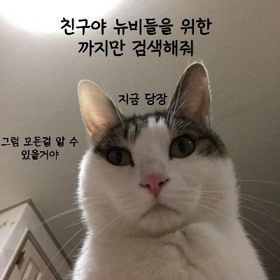 이거 참고