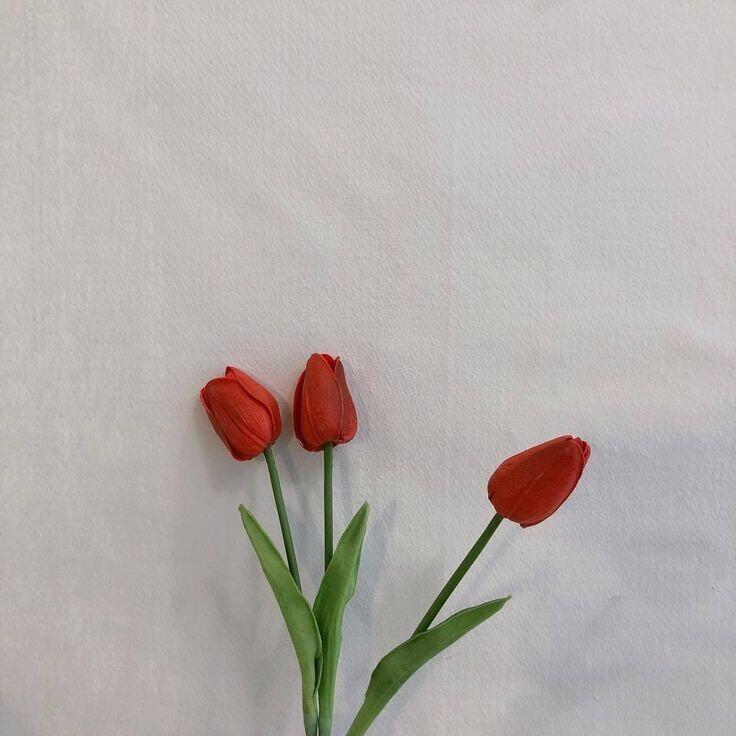 여기중에 있어?? 일단 나도 찾아보는중