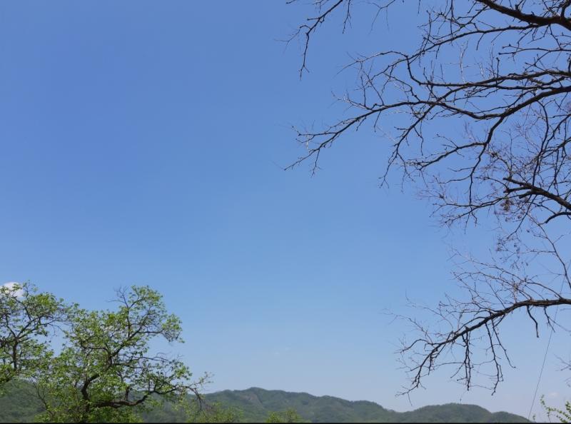 안녕! 지금 질문해도 되려나?? 좋아한지 6개월쯤 되는 사람이 있는데 그사람은 날 어떻게 생각하고 있을까..??