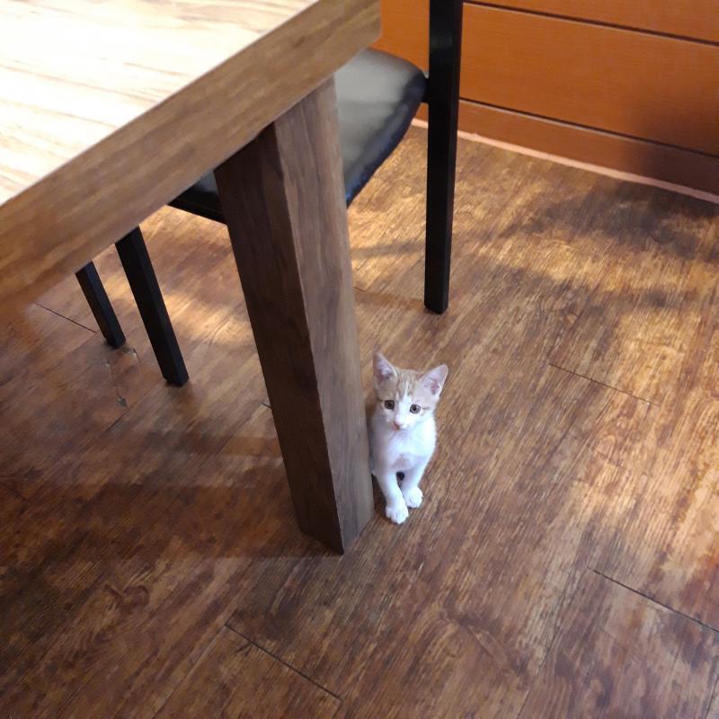 어때 심장이 바스라질것같지않니