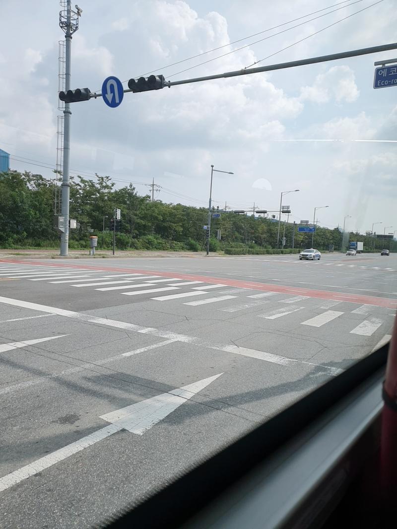 집에 보내줘 딴스