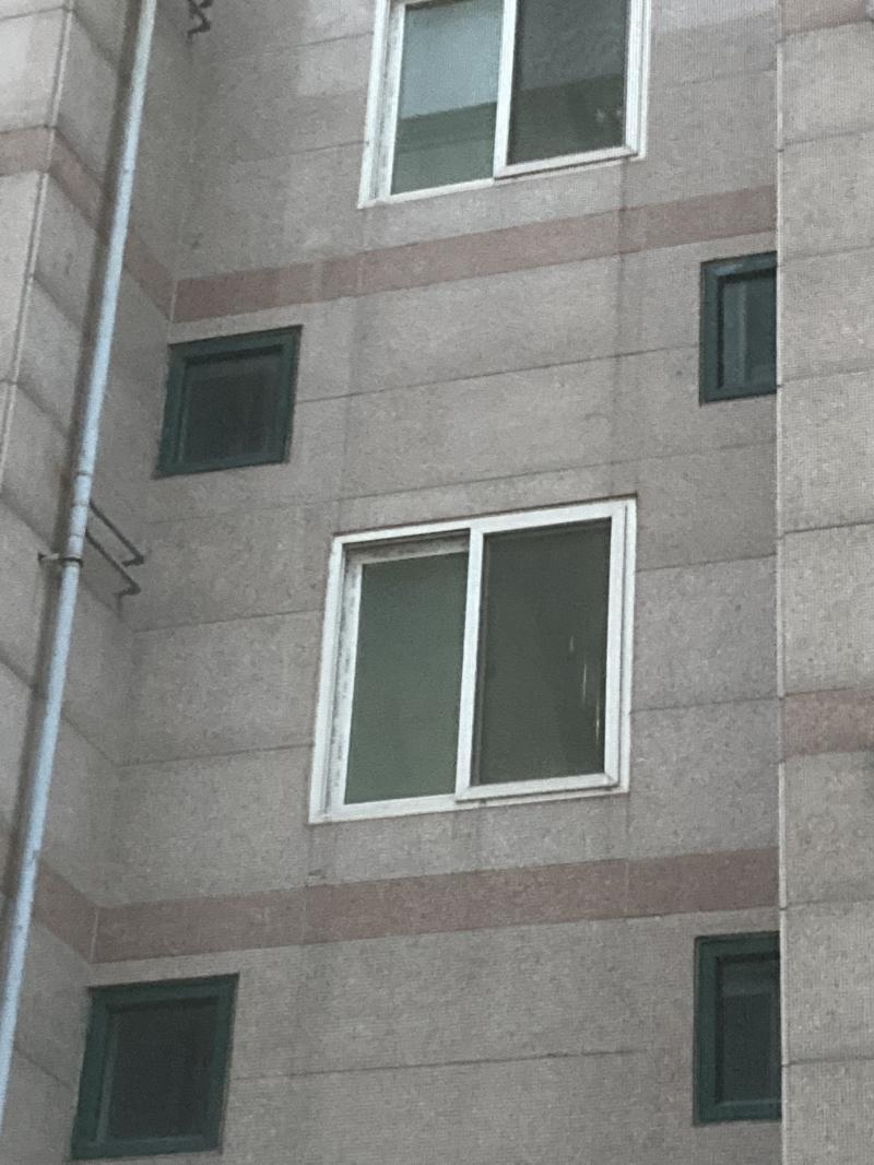 어때..?