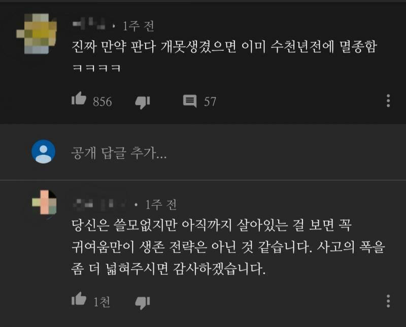 아진짜 개웃긴다진짴ㅋㅋㅋㅋㅋㅋㅋㅋㅋㅋㅋㅋㅋㅋㅋㅋㅋㅋㅋㅋㅋㅋㅋㅋㅋㅋㅋㅋ 진짜 기립박수치고 싶네
