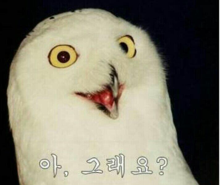 책임이요?