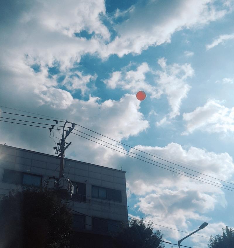 하늘 이뻤던 날 찍은 건데 롯데마트......ㅎㅎ